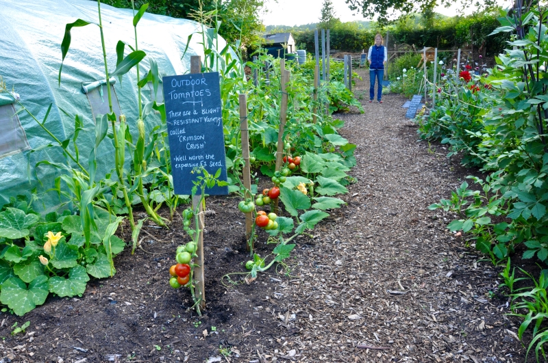 Sarratt Community Garden